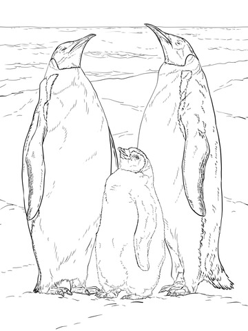 Emperor Penguin Family Coloring Page